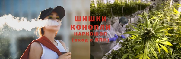 прущие грибы Козельск