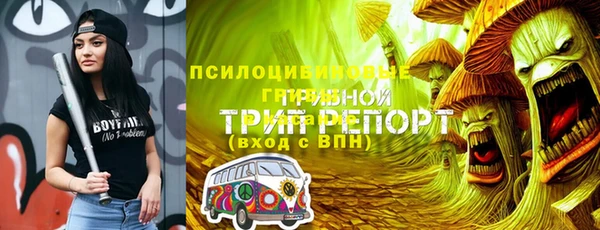 гидра Козловка