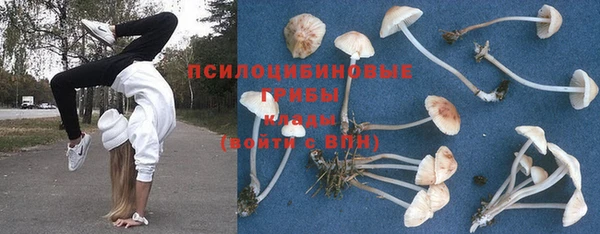 каннабис Корсаков