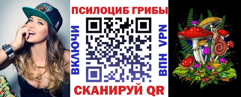 Псилоцибиновые грибы Magic Shrooms  Купить  Реутов 